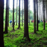 Pfila 2006_52