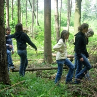 Pfila 2006