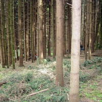 Pfila 2006_80