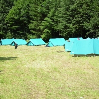 Sola 2006_100