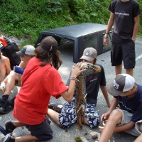 Sola 2006_51