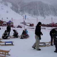 Snowday 2005